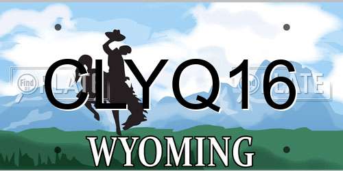 CLYQ16 Wyoming License Plate