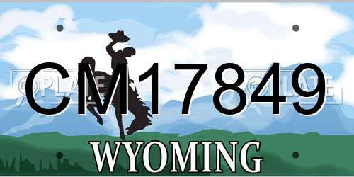 CM17849 Wyoming License Plate