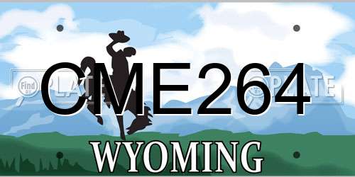 CME264 Wyoming License Plate