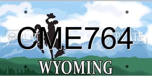CME764 Wyoming License Plate