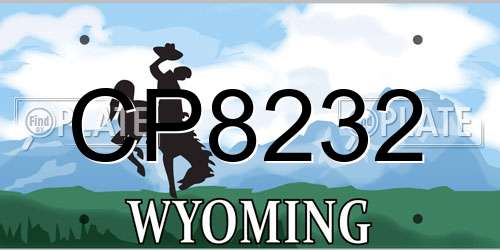 CP8232 Wyoming License Plate