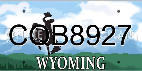 CQB8927 Wyoming License Plate