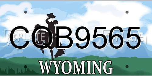 CQB9565 Wyoming License Plate