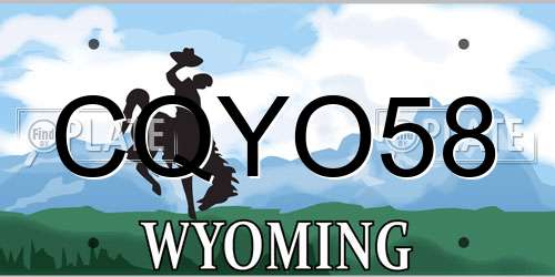 CQYO58 Wyoming License Plate