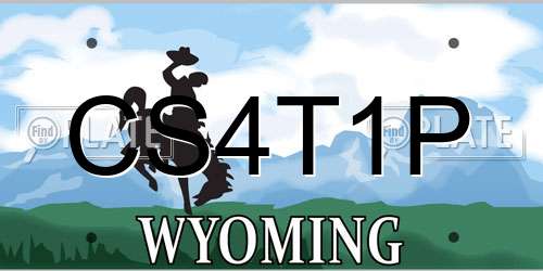 CS4T1P Wyoming License Plate