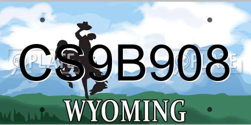 CS9B908 Wyoming License Plate