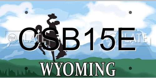 CSB15E Wyoming License Plate