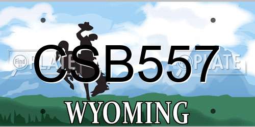 CSB557 Wyoming License Plate