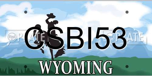 CSBI53 Wyoming License Plate