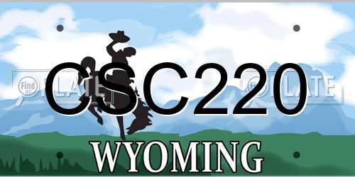 CSC220 Wyoming License Plate
