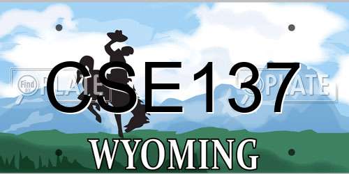 CSE137 Wyoming License Plate