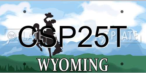CSP25T Wyoming License Plate