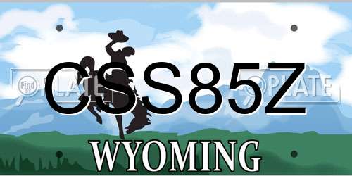 CSS85Z Wyoming License Plate