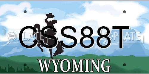 CSS88T Wyoming License Plate