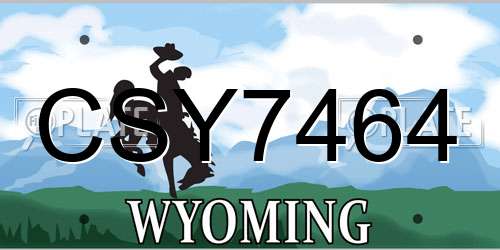CSY7464 Wyoming License Plate