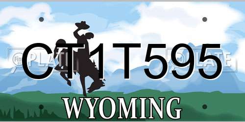 CT1T595 Wyoming License Plate