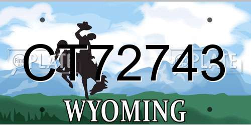 CT72743 Wyoming License Plate