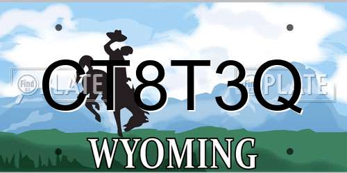 CT8T3Q Wyoming License Plate