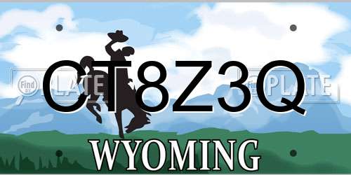 CT8Z3Q Wyoming License Plate