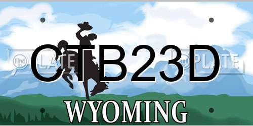 CTB23D Wyoming License Plate