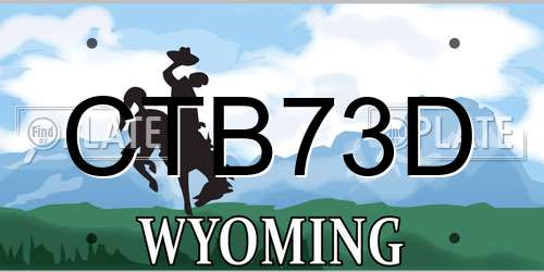 CTB73D Wyoming License Plate