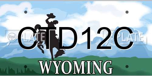 CTD12C Wyoming License Plate