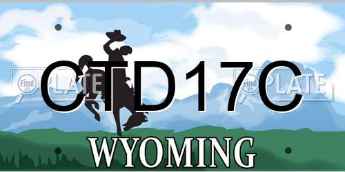 CTD17C Wyoming License Plate
