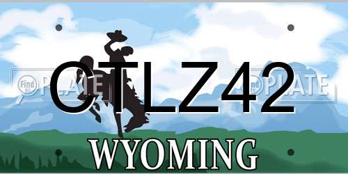 CTLZ42 Wyoming License Plate