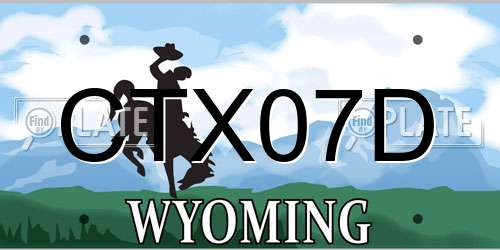 CTX07D Wyoming License Plate