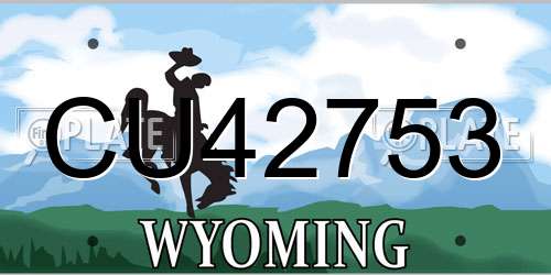 CU42753 Wyoming License Plate