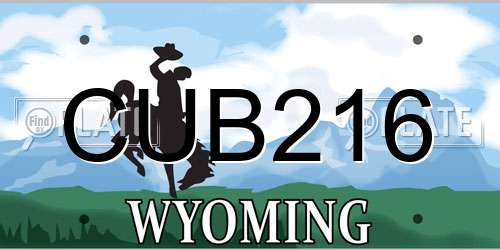 CUB216 Wyoming License Plate