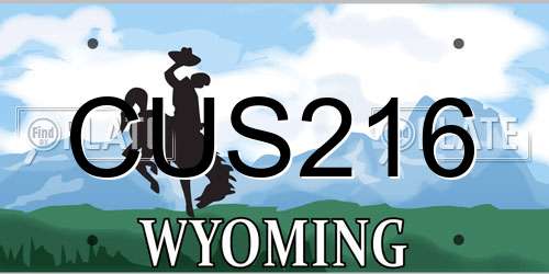 CUS216 Wyoming License Plate