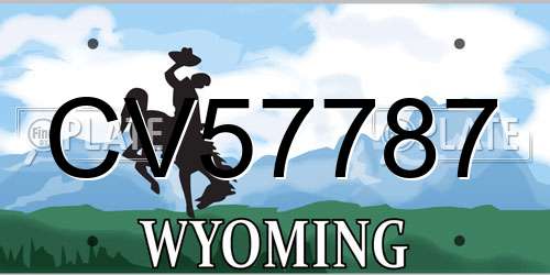 CV57787 Wyoming License Plate