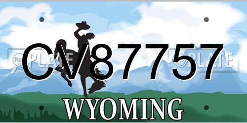 CV87757 Wyoming License Plate