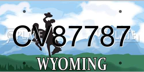 CV87787 Wyoming License Plate