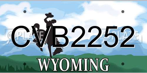 CVB2252 Wyoming License Plate