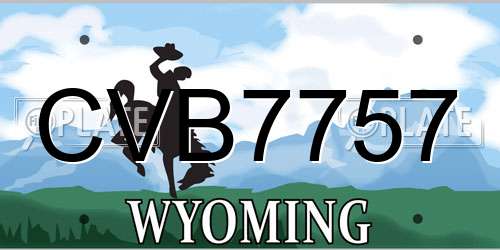 CVB7757 Wyoming License Plate