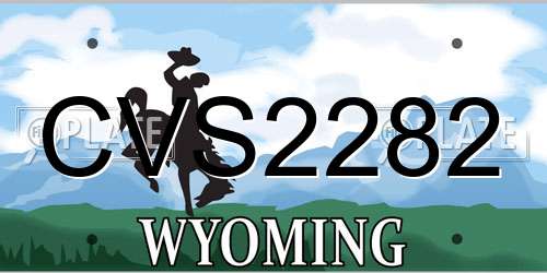 CVS2282 Wyoming License Plate