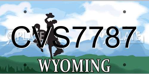 CVS7787 Wyoming License Plate