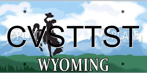 CVSTTST Wyoming License Plate
