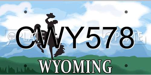 CWY578 Wyoming License Plate