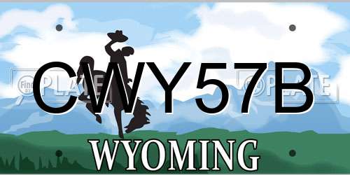 CWY57B Wyoming License Plate