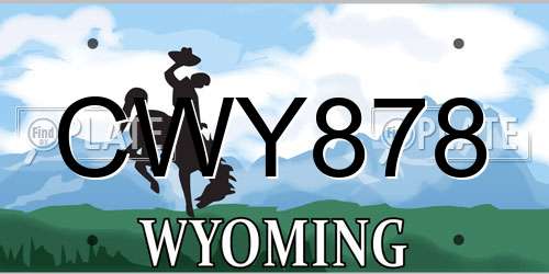 CWY878 Wyoming License Plate