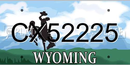 CX52225 Wyoming License Plate