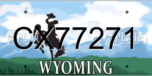 CX77271 Wyoming License Plate