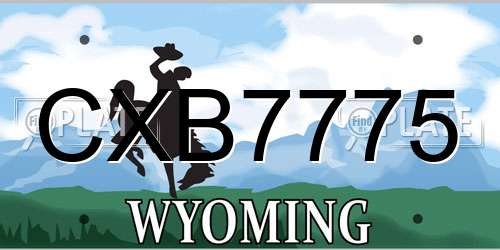 CXB7775 Wyoming License Plate