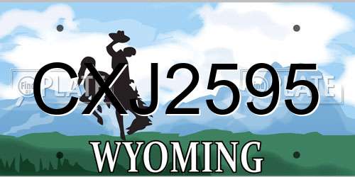 CXJ2595 Wyoming License Plate