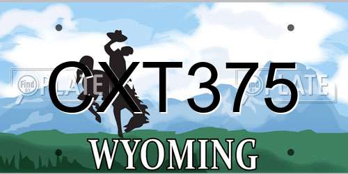 CXT375 Wyoming License Plate