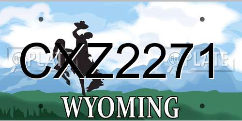 CXZ2271 Wyoming License Plate