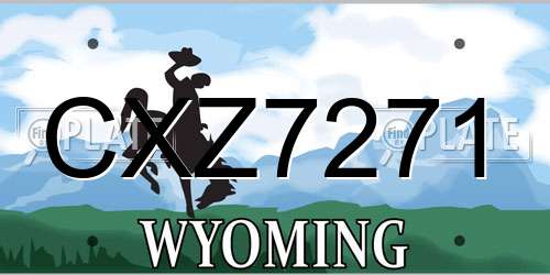 CXZ7271 Wyoming License Plate